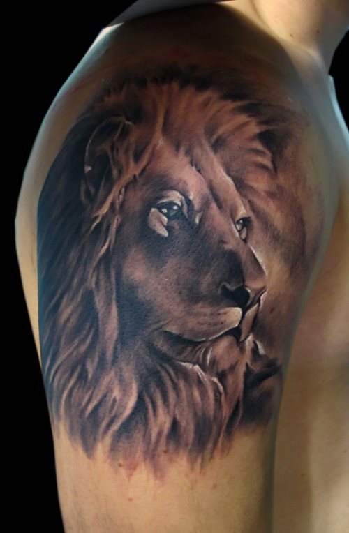 tatuaggio leone 47