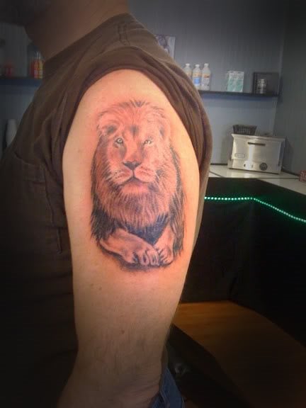 tatuaggio leone 50
