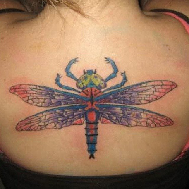 tatuaggio libellula 03