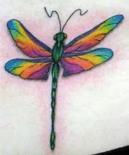 tatuaggio libellula 12