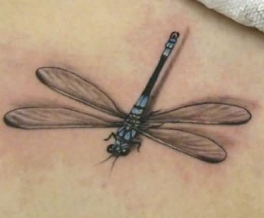 tatuaggio libellula 26