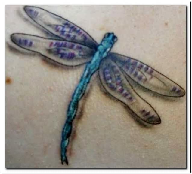 tatuaggio libellula 38