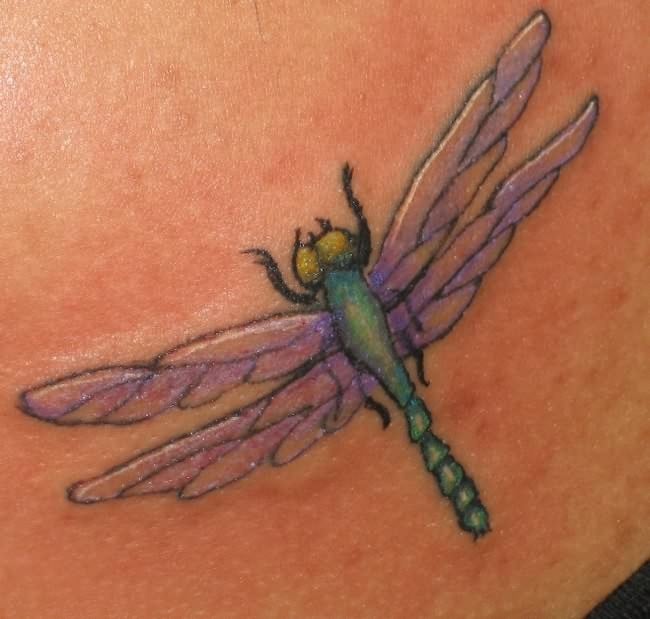 tatuaggio libellula 39