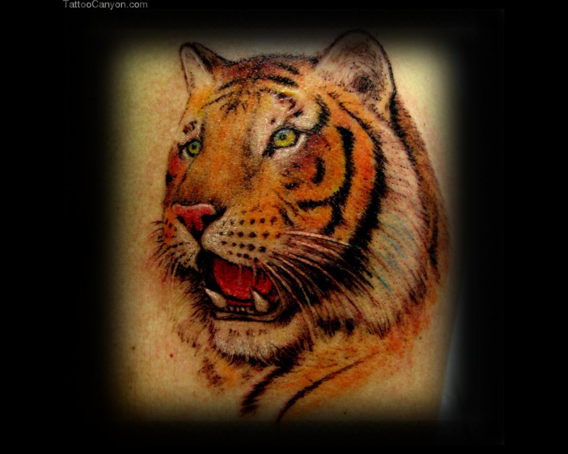 tatuaggio tigre 06