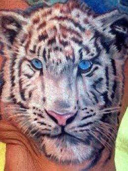 tatuaggio tigre 16