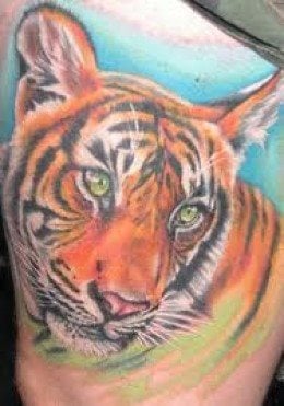 tatuaggio tigre 18