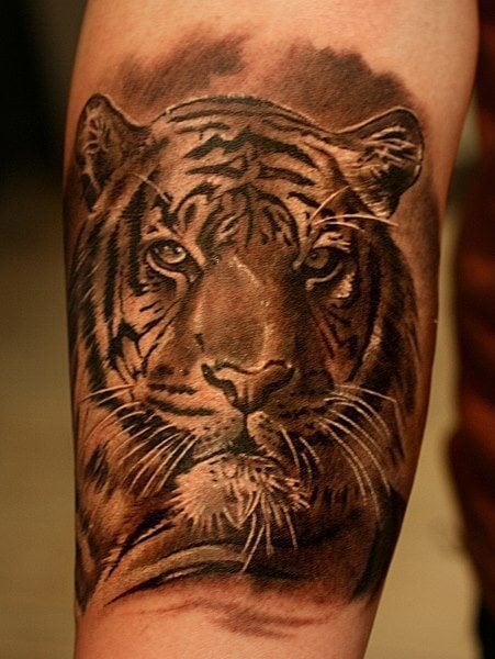 tatuaggio tigre 22