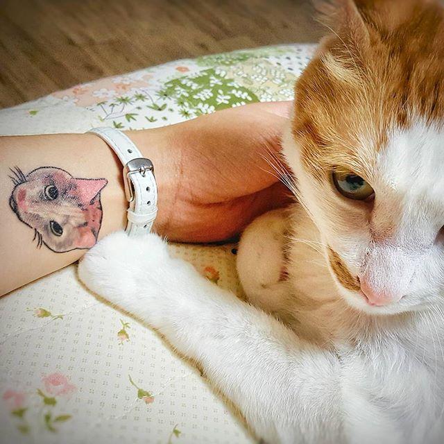 tatuaggio gatto 79
