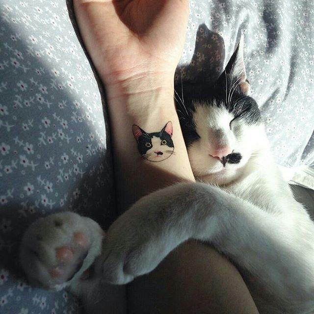 tatuaggio gatto 95