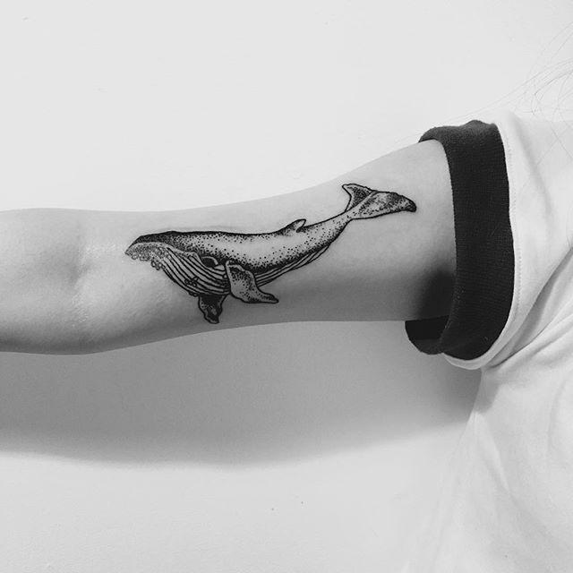 tatuaggio balena 03