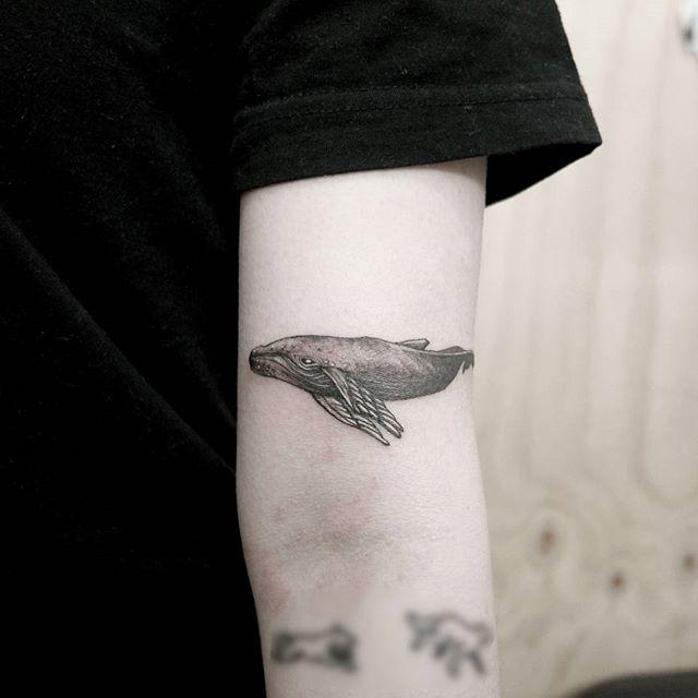 tatuaggio balena 51