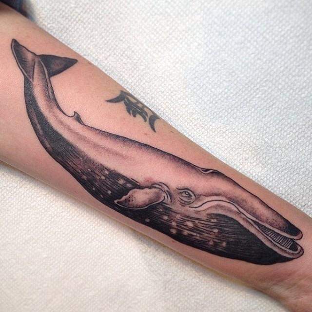 tatuaggio balena 61