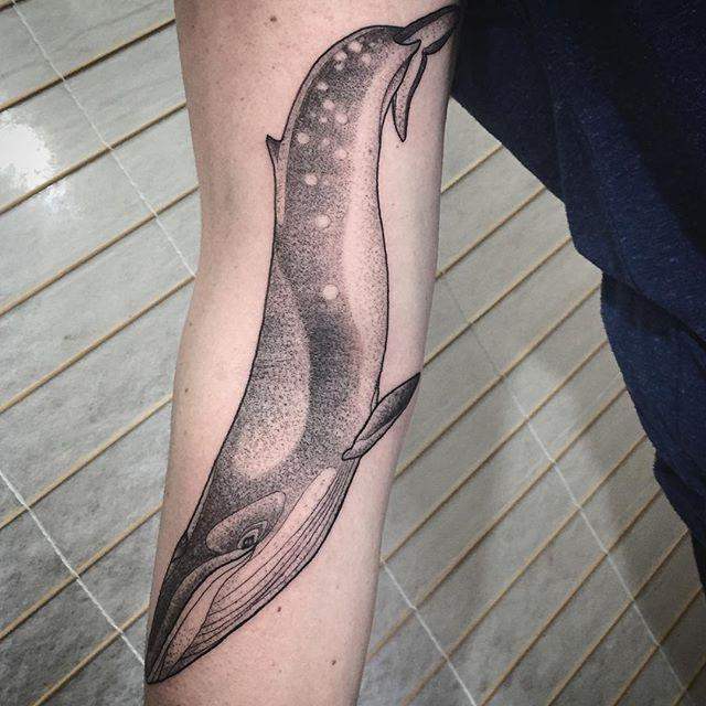 tatuaggio balena 97