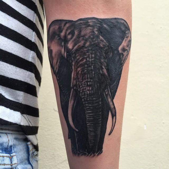 tatuaggio elefante 51
