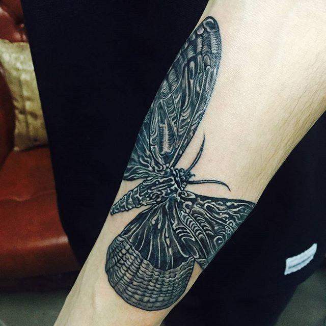 tatuaggio farfalla 25