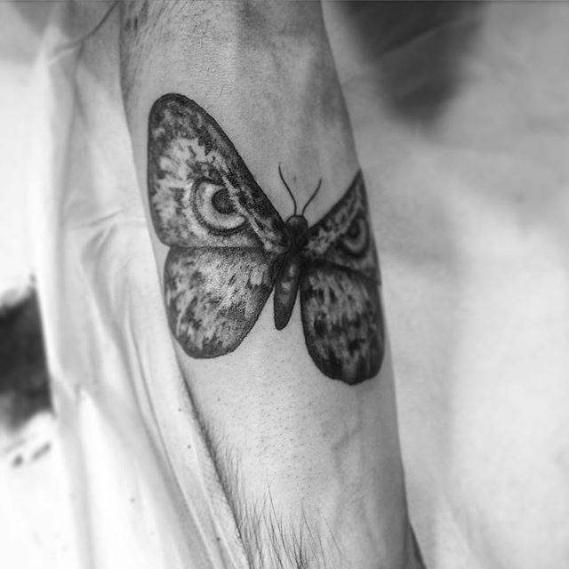 tatuaggio farfalla 83