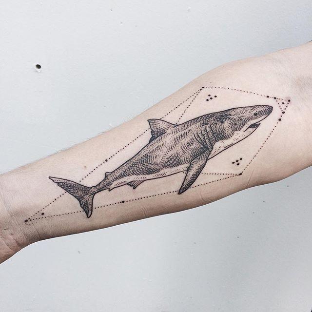 tatuaggio squalo 71