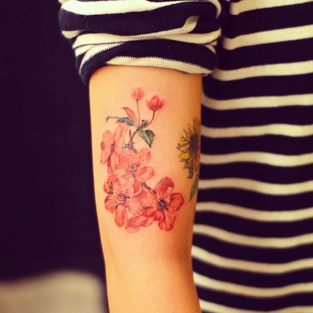 tatuaggio fiore ciliegio sakura 09