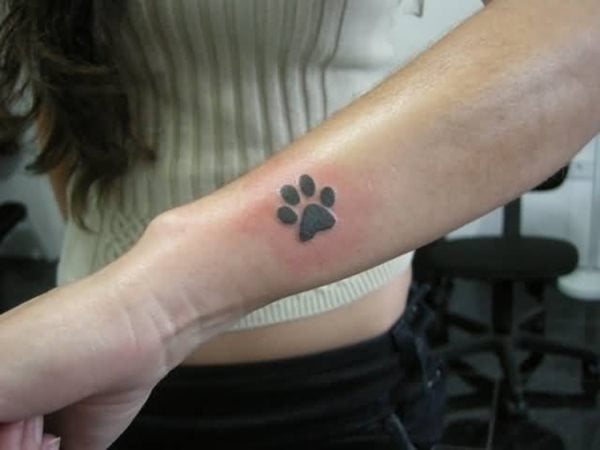 tatuaggio zampa di cane 177