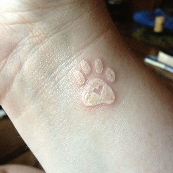 tatuaggio zampa di cane 267