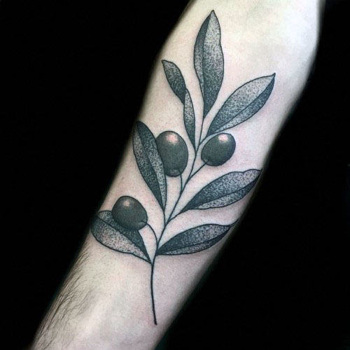 tatuaje ramo olivo 100