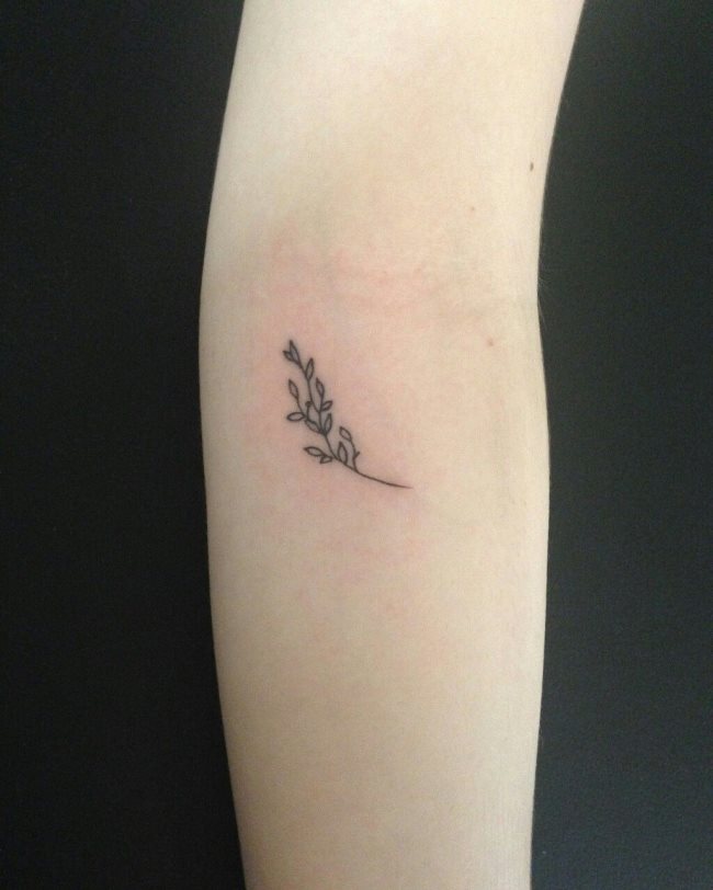 tatuaje ramo olivo 138