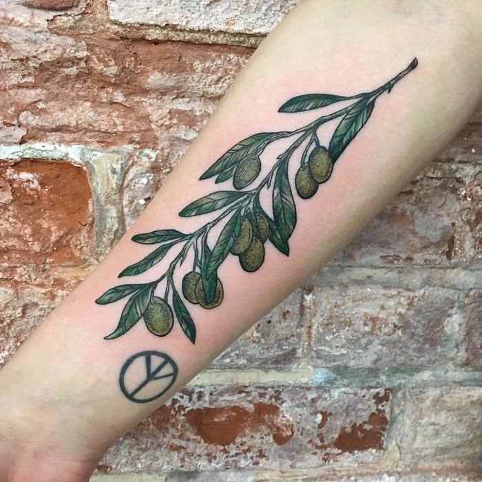 tatuaje ramo olivo 164
