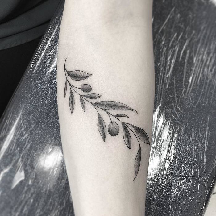 tatuaje ramo olivo 166