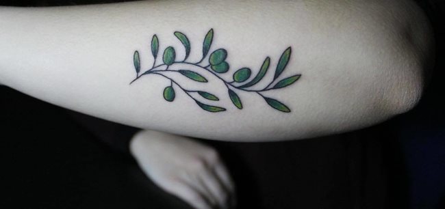 tatuaje ramo olivo 180