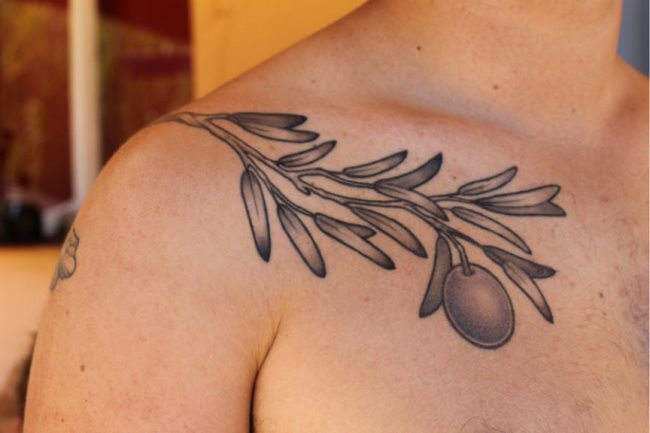tatuaje ramo olivo 34