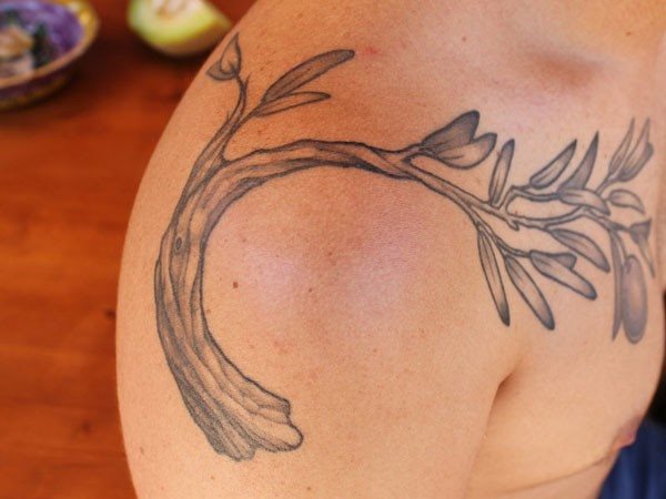 tatuaje ramo olivo 38