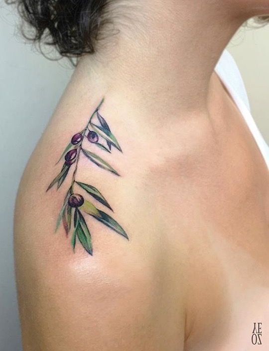 tatuaje ramo olivo 42