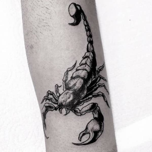 tatuaggio scorpione 21