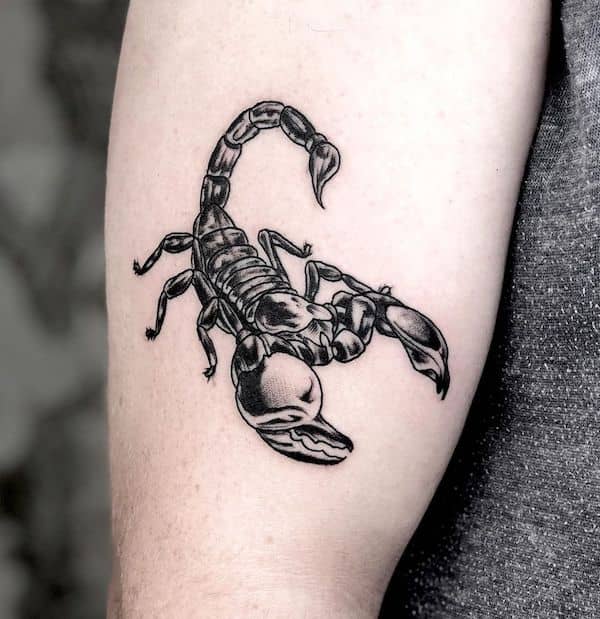 tatuaggio scorpione 62