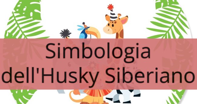 Simbologia dell'Husky Siberiano: Significato simbolico, spirituale, esoterico