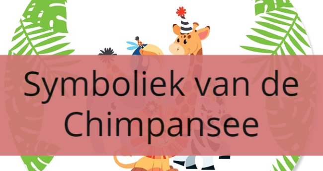 Symboliek van de Chimpansee