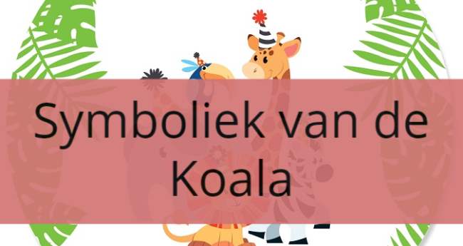 Symboliek van de Koala