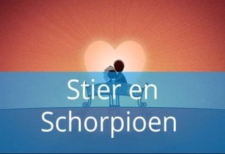 Stier en Schorpioen