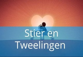 Stier en Tweelingen