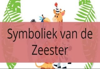 Symboliek Zeester