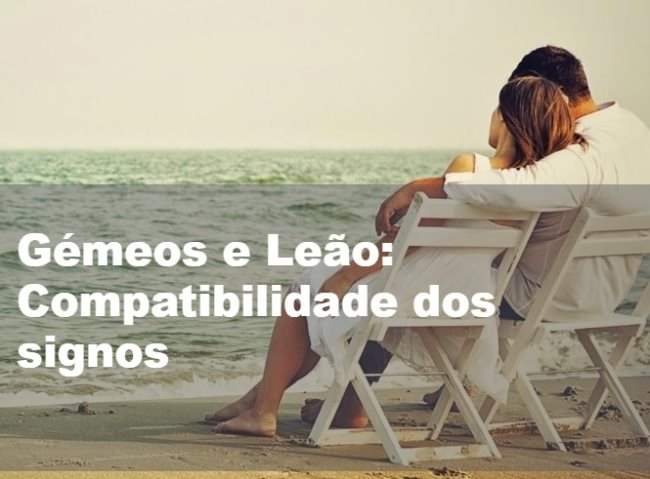 Gemeos e Leao