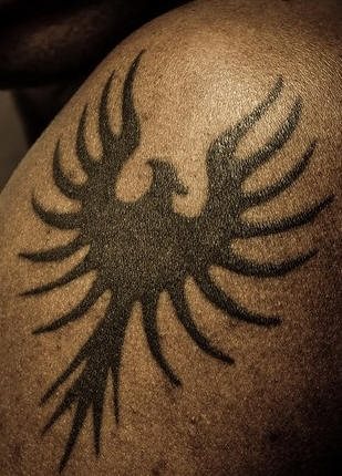 tatuagem fenix 1000