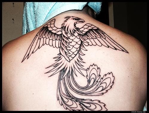 tatuagem fenix 1005