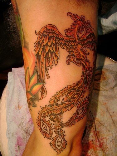 tatuagem fenix 1010