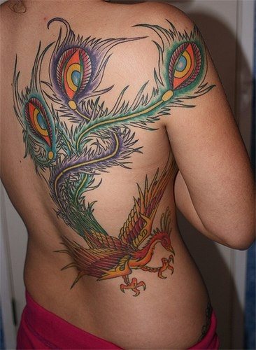 tatuagem fenix 1022