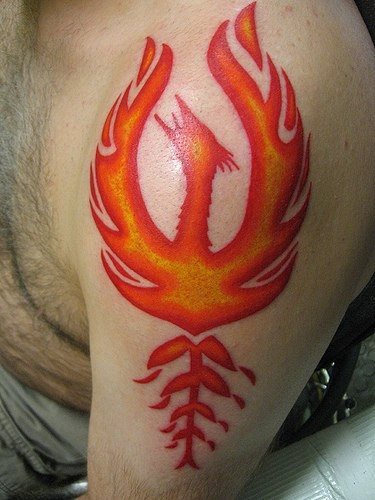 tatuagem fenix 1029