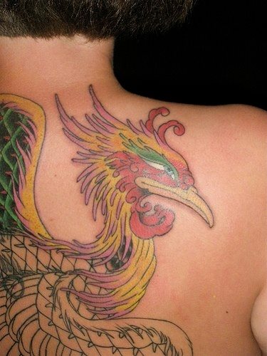 tatuagem fenix 1033