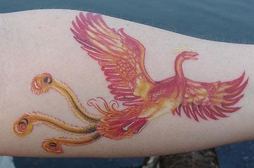 tatuagem fenix 1036