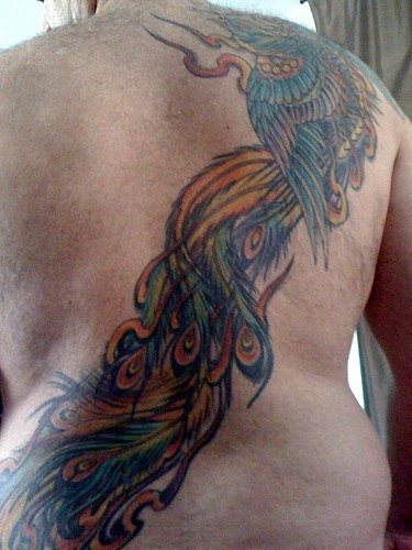 tatuagem fenix 1037