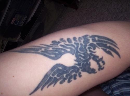 tatuagem fenix 1044